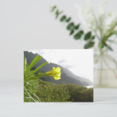 カウアイ葉書 ポストカード (スタンド正面)