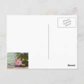 カウアイ虹 ポストカード (裏面)