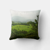 カウアイ、ハワイの風景のシーン クッション (裏面)