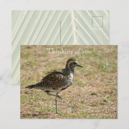 カウアイ・ハワイ・バードオングラス考えズ・オブ・ユー ポストカード (正面/裏面)