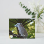 カウアイ・ハワイ・バード・イン・ア・ツリー ポストカード (スタンド正面)