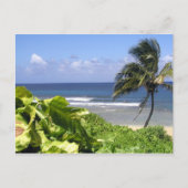 カウアイ ポストカード (正面)