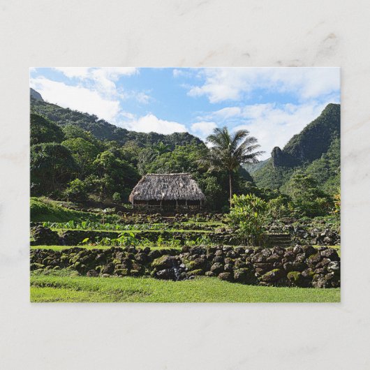 カウアイ・リマウリ・ガーデンの太郎ガーデン ポストカード (正面)