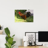 カウアイ・ルースターのポスター ポスター (ホームオフィス)