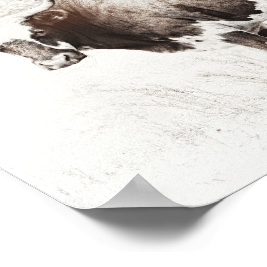 カウアートヴィンテージスタイル写真デザインセピアトーン ポスター (角)