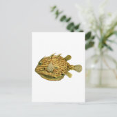 カウイストライプのグ ポストカード (スタンド正面)