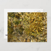 カウェー川のウォーター抽象芸術自然 ポストカード (正面/裏面)