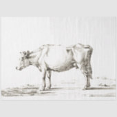 カウエフエメラデクページヴィンテージファーム 薄葉紙 (正面)