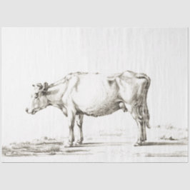 カウエフエメラデクページヴィンテージファーム 薄葉紙