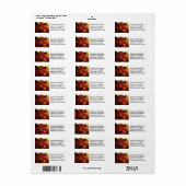 カウオイル塗装ポートレート ラベル (フルシート)