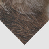 カウカフカーノーズを鼻に切り離し愛を示す 薄葉紙 (詳細)