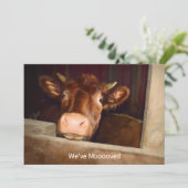 カウカントリーファームバ素朴ン移おもしろい動カード 案内状 (スタンド正面)