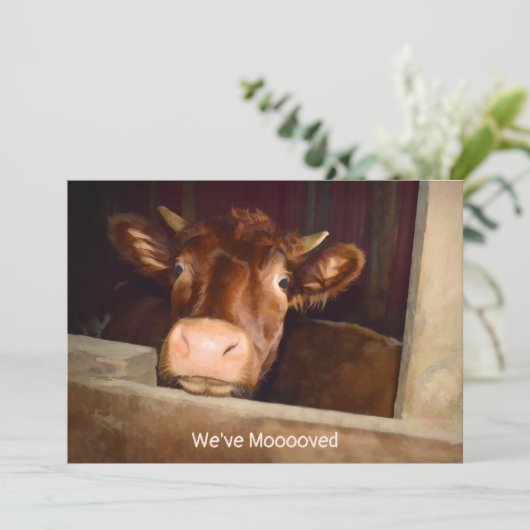 カウカントリーファームバ素朴ン移おもしろい動カード 案内状 (スタンド正面)