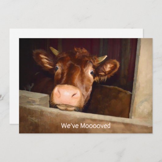 カウカントリーファームバ素朴ン移おもしろい動カード 案内状 (正面/裏面)