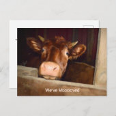 カウカントリー素朴バーンファおもしろいームムービングカード インビテーションポストカード (正面/裏面)