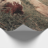 カウカントリ素朴ーファームハウスデコパージュ ラッピングペーパー (角)