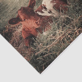 カウカントリ素朴ー農家デコページ 薄葉紙 (詳細)