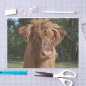 カウクローズアップ、パート2：フロッピーヘアエディション 薄葉紙 (クラフト)