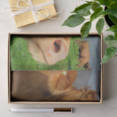 カウクローズアップ、パート4：サイドアイグレア版 薄葉紙 (ギフト)