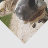 カウクローズアップ、パート6：好奇心のカウエディション 薄葉紙 (詳細)