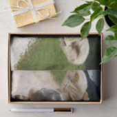 カウクローズアップ、パート6：好奇心のカウエディション 薄葉紙 (ギフト)