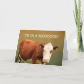 カウジョークハッピーバースデー カード (正面)