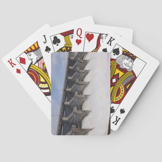 カウダムトランプ トランプ (裏面)