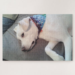 カウチおもしろいアに浮かぶ、かわいい白い子犬 ジグソーパズル