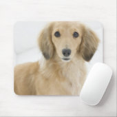 カウチの犬 マウスパッド (マウス)