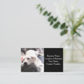 カウチブラックのかわいい白犬の写真 名刺 (スタンド正面)