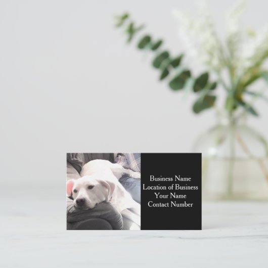 カウチブラックのかわいい白犬の写真 名刺 (スタンド正面)