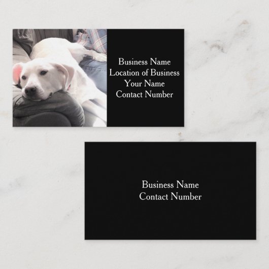 カウチブラックのかわいい白犬の写真 名刺 (正面/裏面)