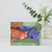 カウチポテトの展示室 ポストカード (スタンド正面)