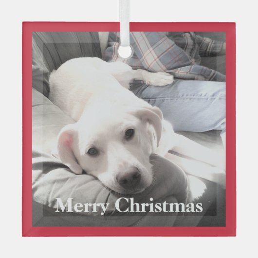 カウチレッドにパパを付けたかわいい白い子犬 ガラスオーナメント (正面)