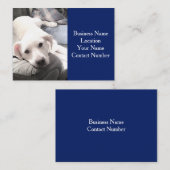 カウティ白犬のカウチネービーブルーの写真 名刺 (正面/裏面)