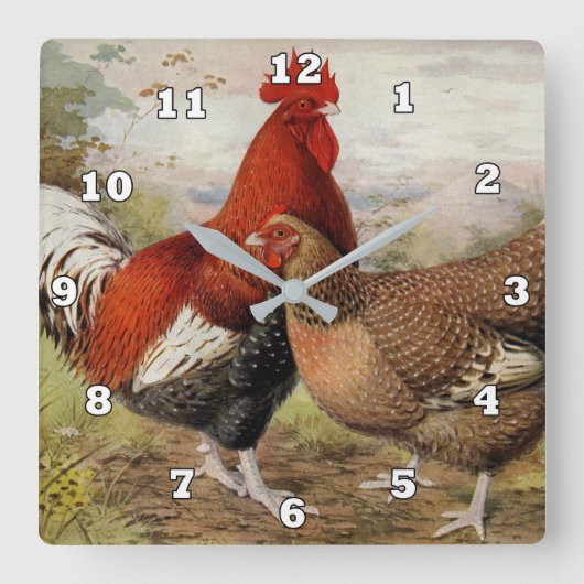 カウトカントリーファームハウスヴィンテージキッチンデコール スクエア壁時計 (正面)