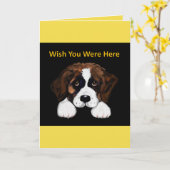 カウトサンバーナード カード (黄色い花)