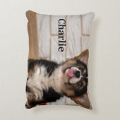 カウトトリカラーペンブロークウェルシュコーギーズワンちゃん アクセントクッション (裏面(縦))