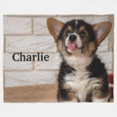 カウトトリカラーペンブロークウェルシュコーギーズワンちゃん フリースブランケット (正面(横))