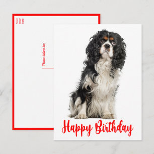 カウトドッグカヴァリエキングチャールズスパニエル犬誕生日ポ ポストカード