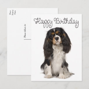 カウトドッグカヴァリエキングチャールズスパニエル犬誕生日 ポストカード