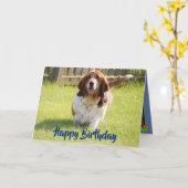 カウトバスセットハウンドオンおもしろい誕生日カード カード (黄色い花)