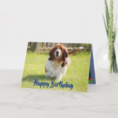 カウトバスセットハウンドオンおもしろい誕生日カード カード (正面)