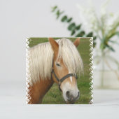 カウトパロミノポニー招待状 招待状 (スタンド正面)