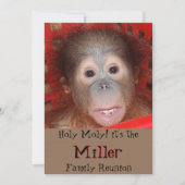 カウトファミリー懇親会 招待状 (正面)