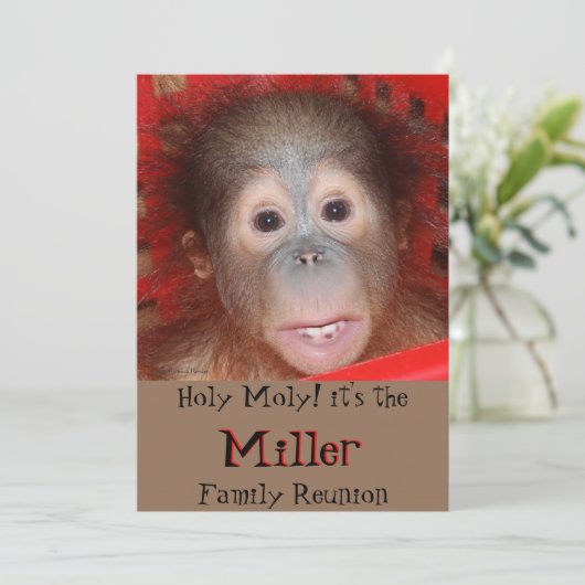 カウトファミリー懇親会 招待状 (スタンド正面)