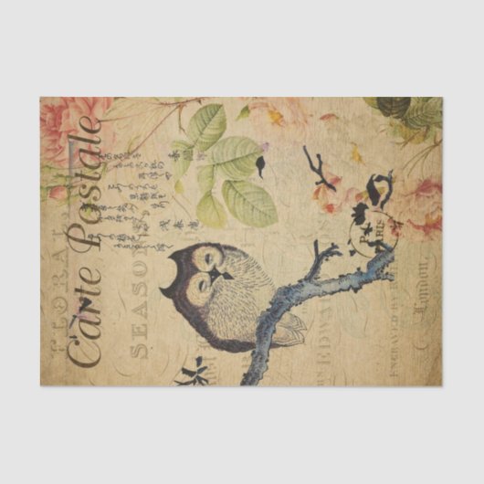 カウトフクロウピンクローフランスのズエフェメラデコパージュティス 薄葉紙 (正面)