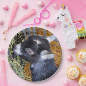 カウトブラックベビーヤ食べギズヘイフォト ペーパープレート (パーティー)