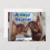 カウトベビーオランウータンオールリージ ポストカード (正面/裏面)