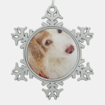 カウトホリデークリスマスダックスフントレッドクリスマスズセーター